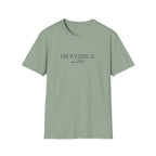 Proverbs 31...ish T-Shirt