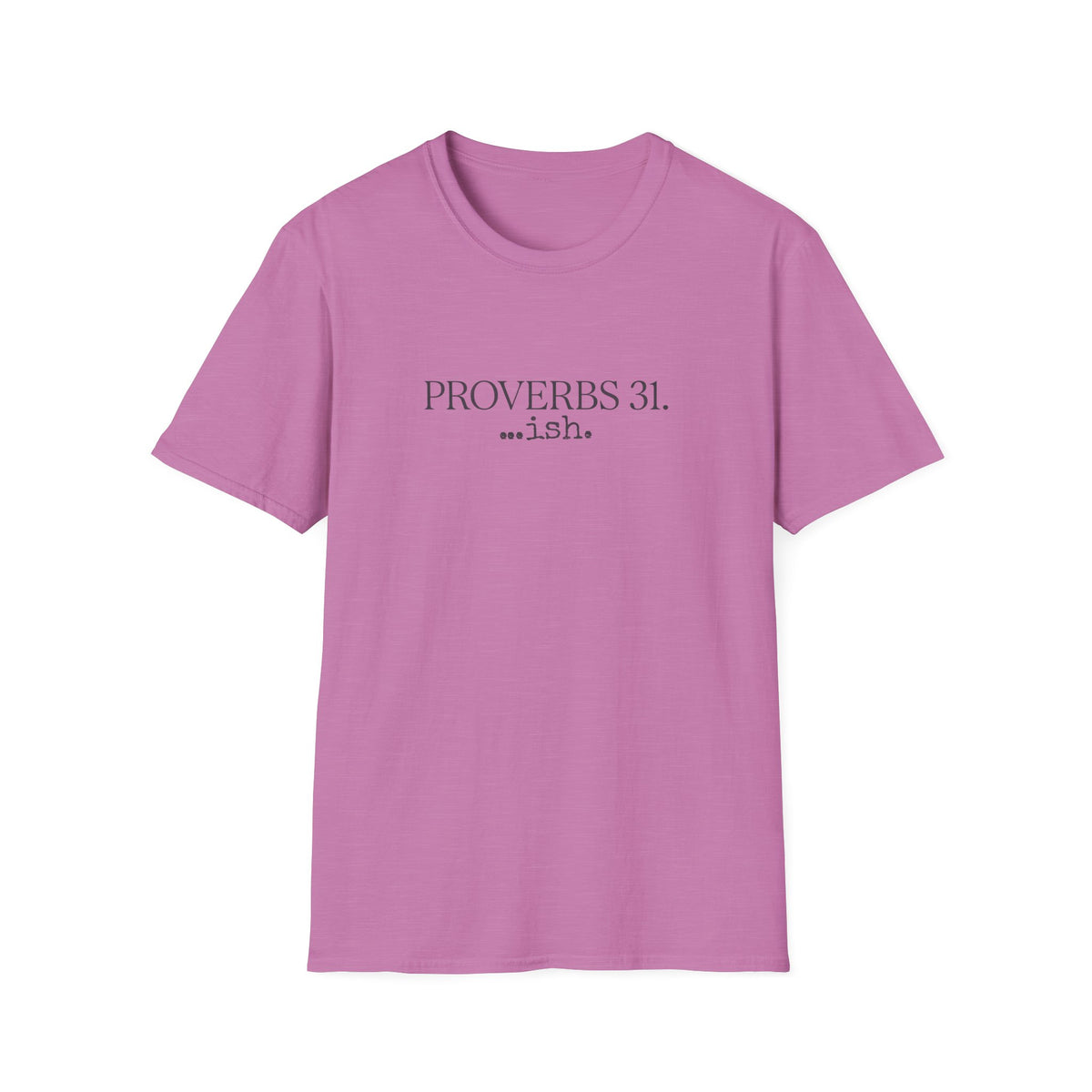Proverbs 31...ish T-Shirt